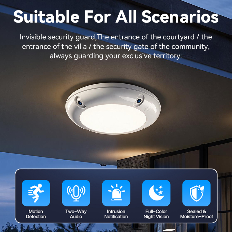 security ceiling light